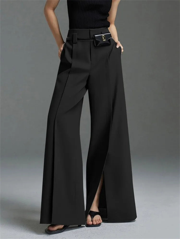 Metro Muse Pleated Trousers